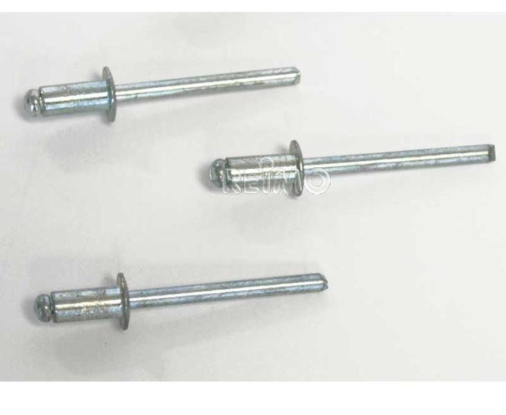 Rivetti a strappo in acciaio 5x10 mm 29441L