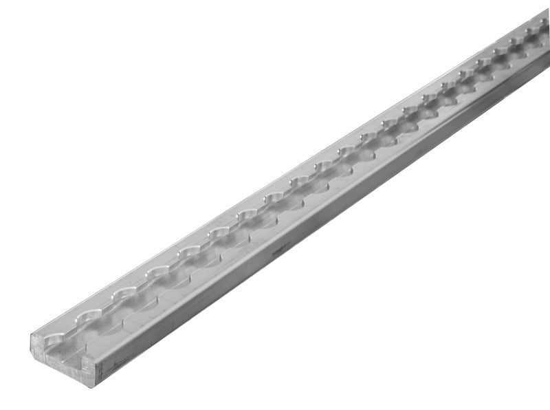 Zurrschiene flach silber 44597