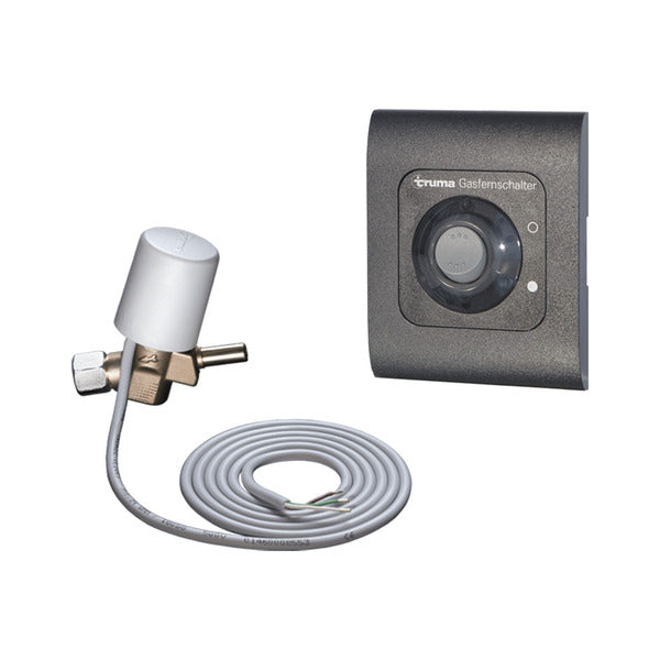 Interruttore a distanza del gas GS10 751671