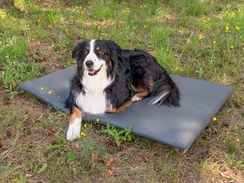 Materasso per cani - supporto posteriore per VW T5 / T6 California 99329