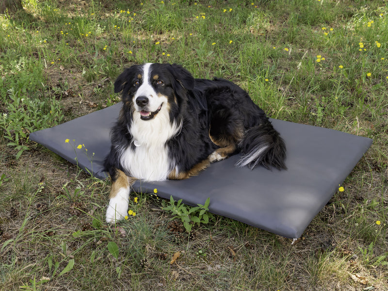 Materasso per cani - supporto posteriore per VW T5 / T6 California 99329
